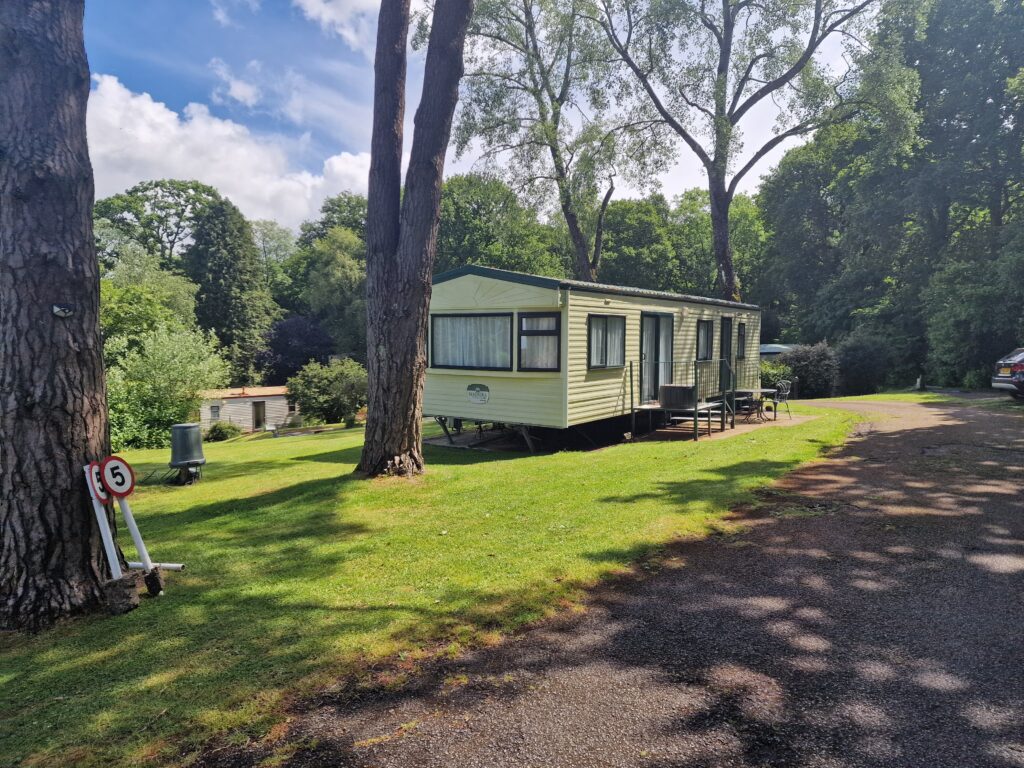 holiday lodge new forest